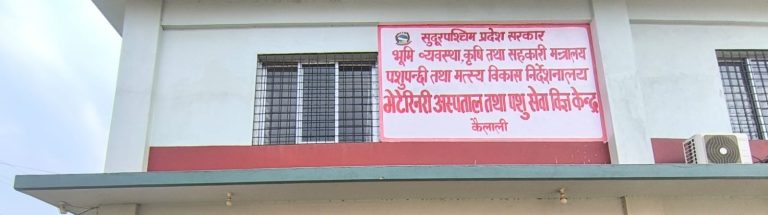 डाक्टर हराए, विद्यार्थी अल्मलिँदा किसान निराश: प्रदेश भेटेनरी अस्पतालको दर्दनाक अवस्था